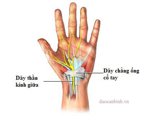 Viêm khớp cổ tay nếu không được chữa trị sẽ ảnh hưởng đến những bộ phận xung quanh